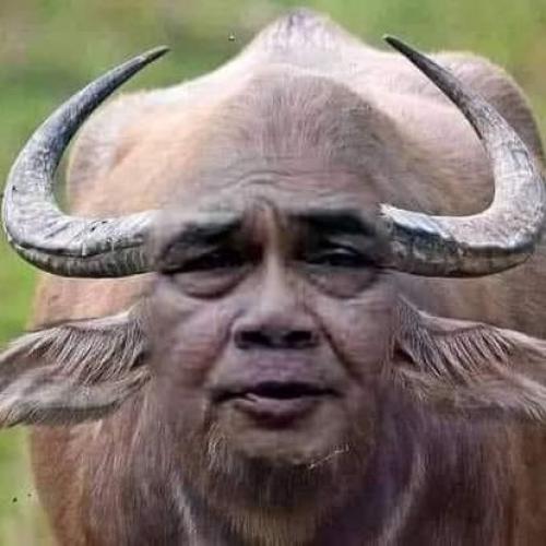 สมาชิกหมายเลข 6211685