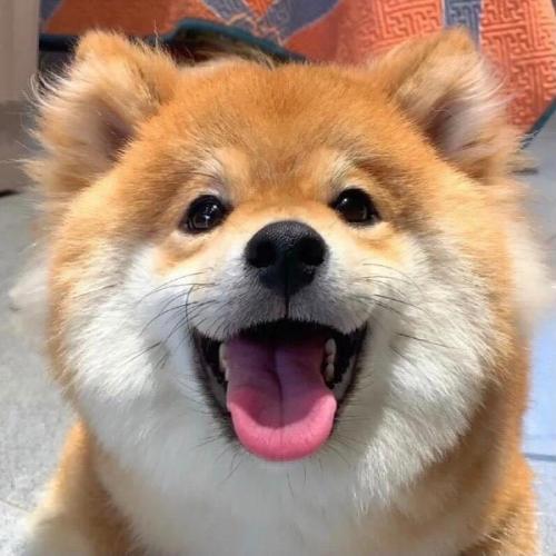 สมาชิกหมายเลข 6709290