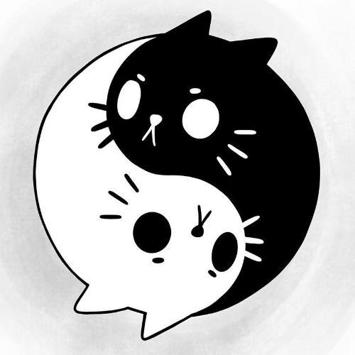 สมาชิกหมายเลข 1788737