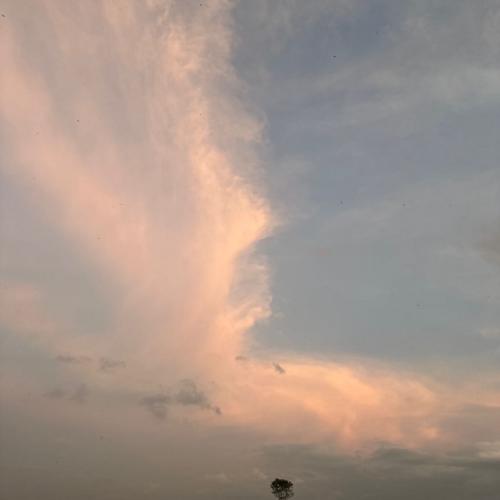 สมาชิกหมายเลข 7465807