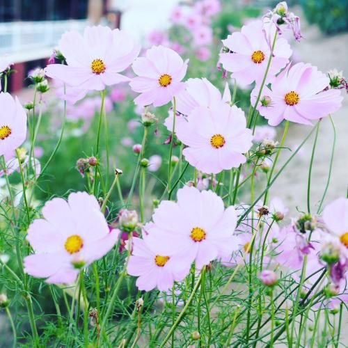 สมาชิกหมายเลข 3548673