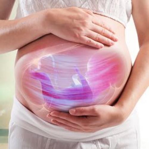 สมาชิกหมายเลข 4762311