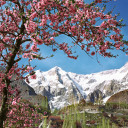 สมาชิกหมายเลข 4492428