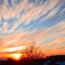 สมาชิกหมายเลข 5536740