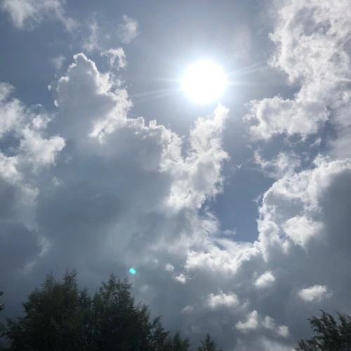 สมาชิกหมายเลข 6087921