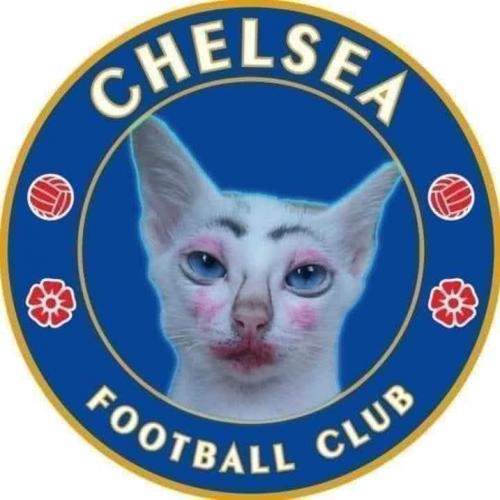 สมาชิกหมายเลข 8362965