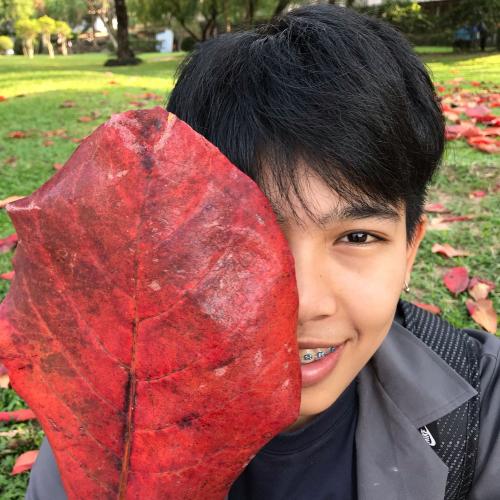 สมาชิกหมายเลข 3712708