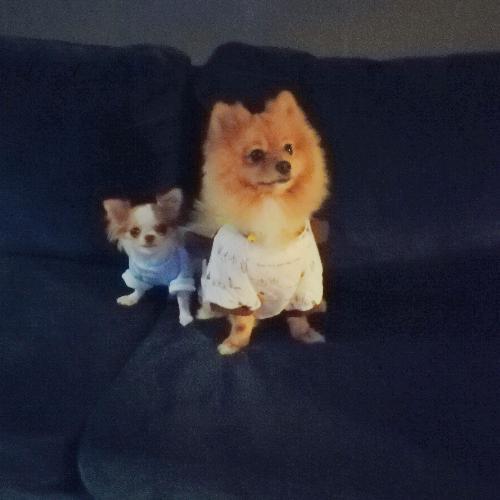 สมาชิกหมายเลข 5135241