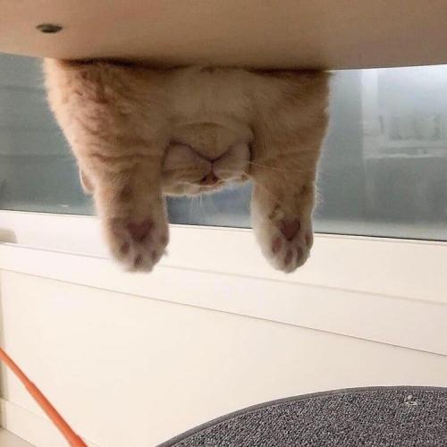 สมาชิกหมายเลข 4866793