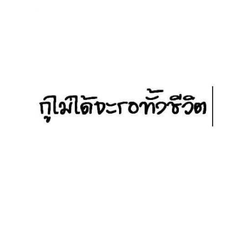 สมาชิกหมายเลข 5537337