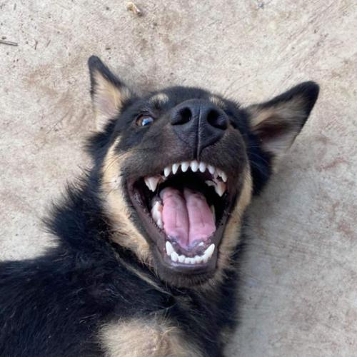 สมาชิกหมายเลข 6088773