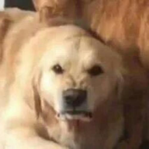 สมาชิกหมายเลข 6710718