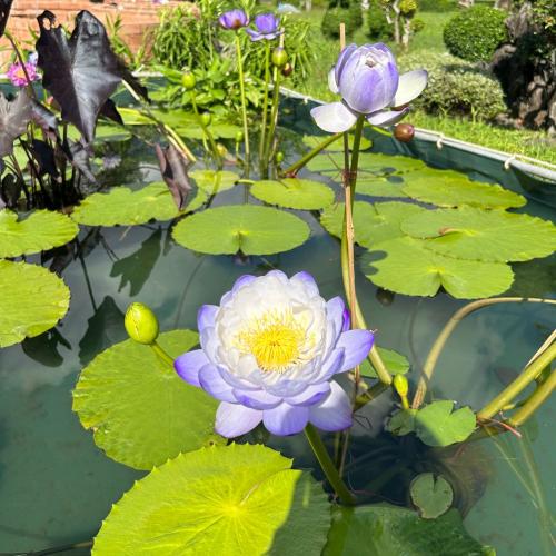 สมาชิกหมายเลข 2798183