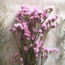 สมาชิกหมายเลข 4412571