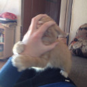 สมาชิกหมายเลข 2930501