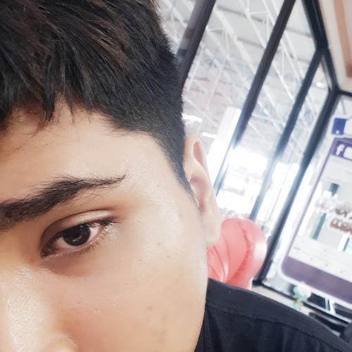 สมาชิกหมายเลข 4273093