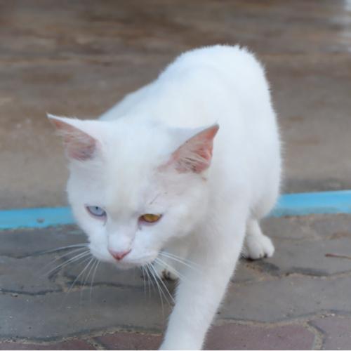 สมาชิกหมายเลข 5139049