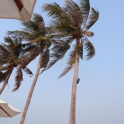 สมาชิกหมายเลข 3992018