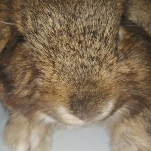 สมาชิกหมายเลข 7467935