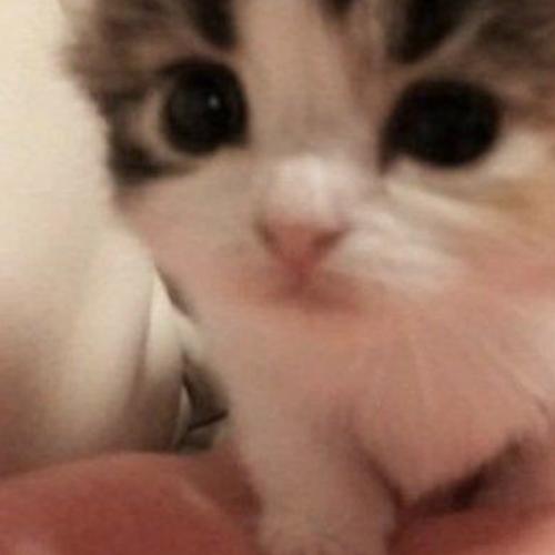 สมาชิกหมายเลข 7493569