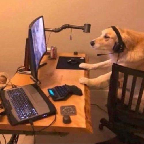 สมาชิกหมายเลข 8364781