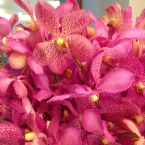 สมาชิกหมายเลข 3935373