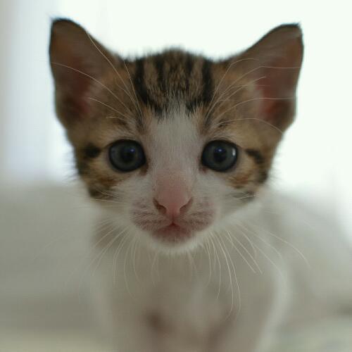 สมาชิกหมายเลข 3448372