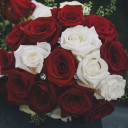 สมาชิกหมายเลข 3525820