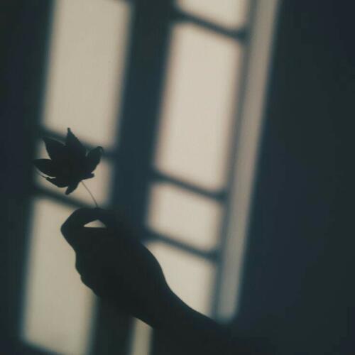 สมาชิกหมายเลข 4763070