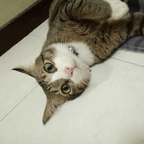 สมาชิกหมายเลข 3214603