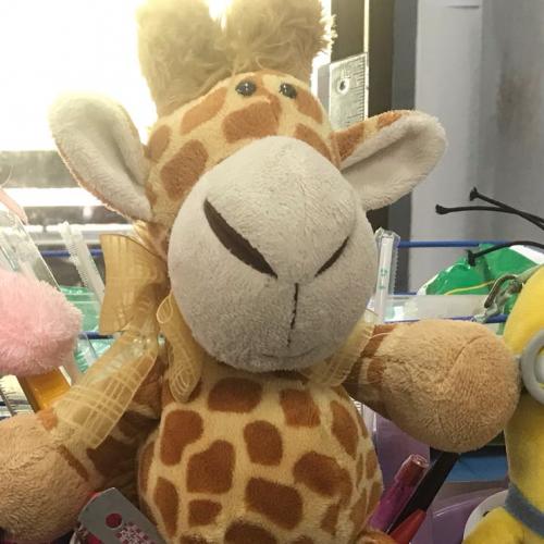 สมาชิกหมายเลข 4558309