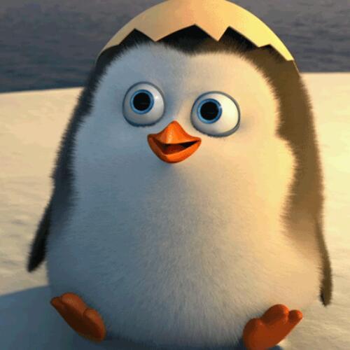 สมาชิกหมายเลข 4735879