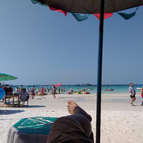 สมาชิกหมายเลข 5139494