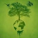 สมาชิกหมายเลข 5139612