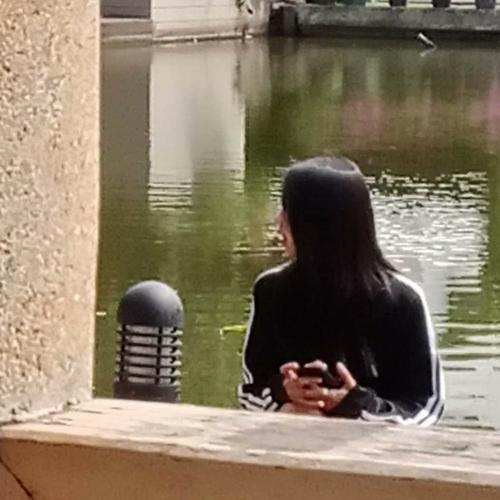 สมาชิกหมายเลข 7469018