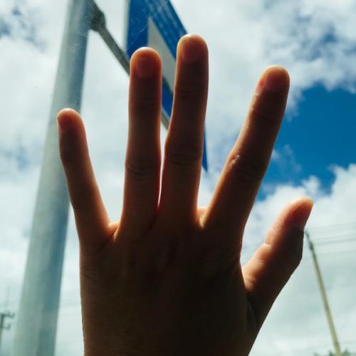 สมาชิกหมายเลข 8365652