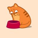 สมาชิกหมายเลข 3935917