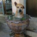 สมาชิกหมายเลข 3936041