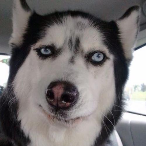 สมาชิกหมายเลข 4127478