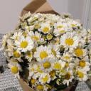 สมาชิกหมายเลข 4383535