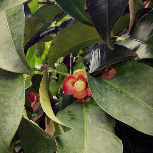 สมาชิกหมายเลข 1547395