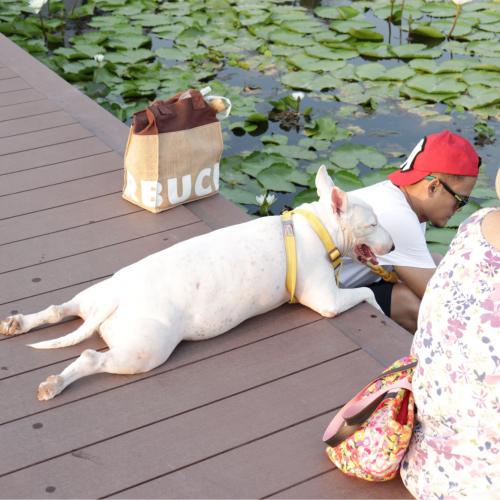 สมาชิกหมายเลข 5140115