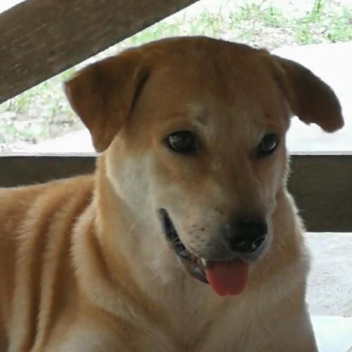 สมาชิกหมายเลข 3862118