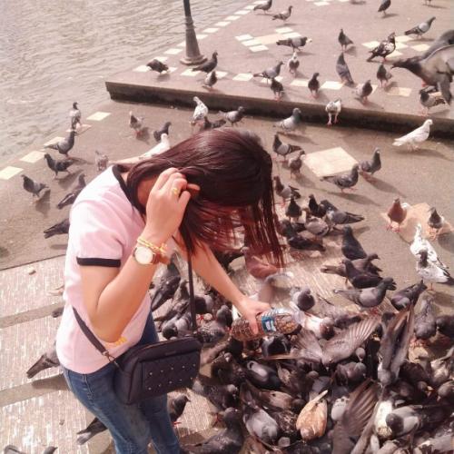 สมาชิกหมายเลข 6090216