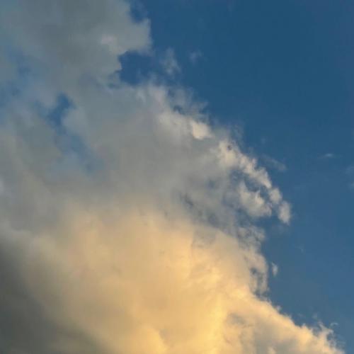 สมาชิกหมายเลข 5035296