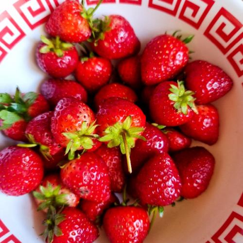 สมาชิกหมายเลข 6712753