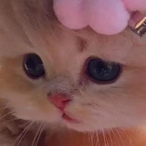 สมาชิกหมายเลข 6712859