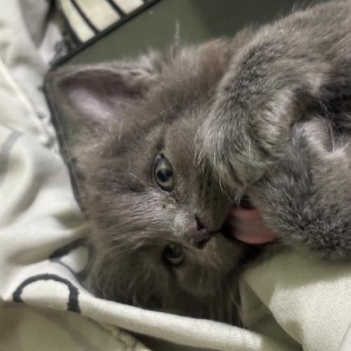 สมาชิกหมายเลข 3146796