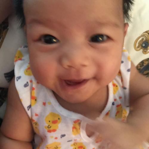 สมาชิกหมายเลข 4764188