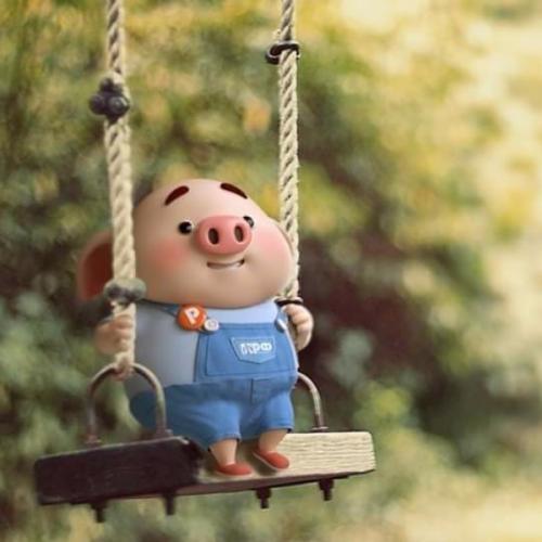 สมาชิกหมายเลข 5140439